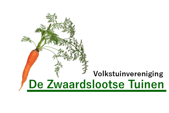 Logo nieuw PNG